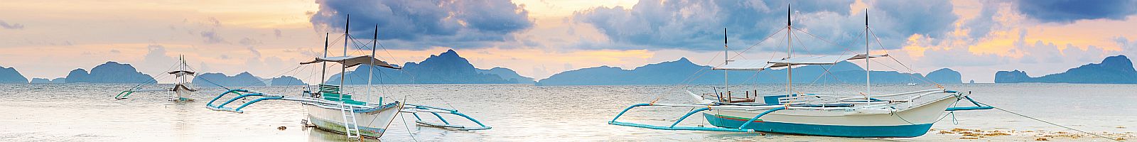 Beach panorama banner